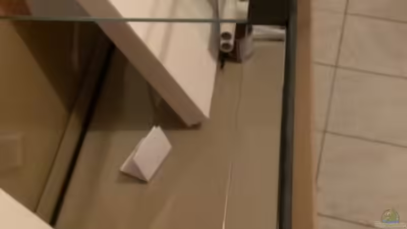 Seitenansicht. von raubsau (16)