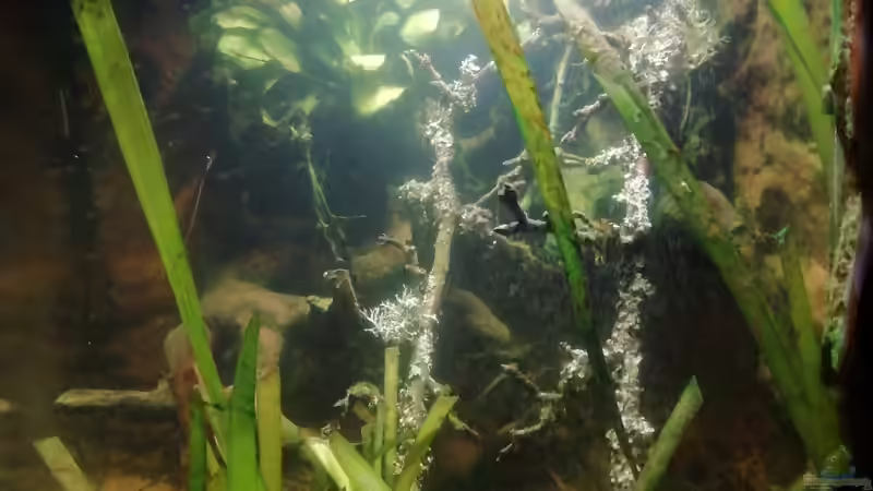 Seitenansicht 03.01.2023 von - Stephen - (10)