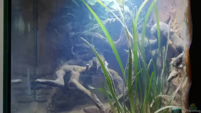 Seitenansicht 07.03.22 von - Stephen - (8)