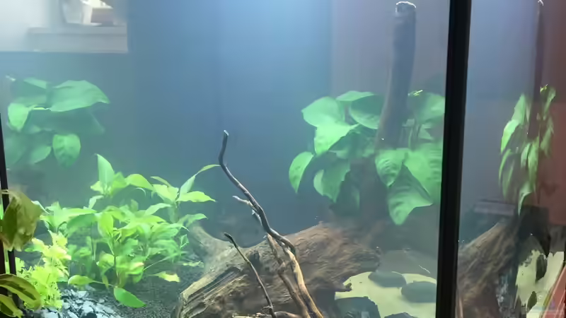 Seitenansicht 1. Tag nach dem Befüllen von moehriam (20)