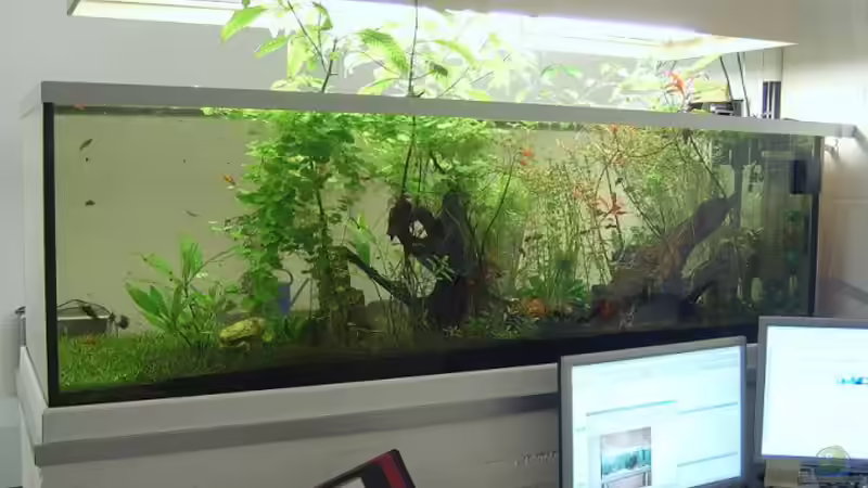 Seitenansicht 2 (mein Arbeitsplatz) von AQ Daniel (3)