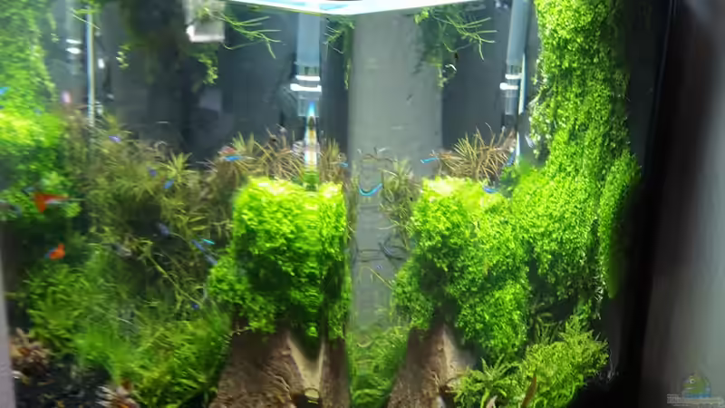 Seitenansicht 21.1.16 von Schallex (6)