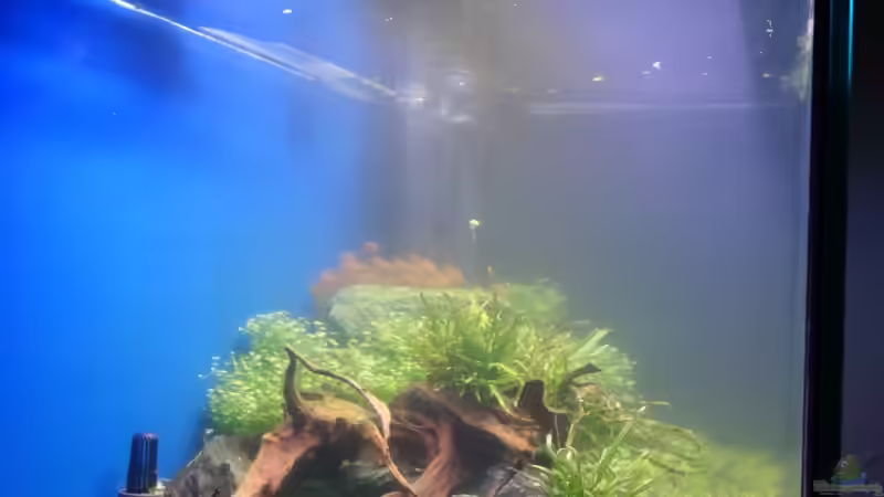 Seitenansicht 25.02.2013 von flaschenbauer (15)