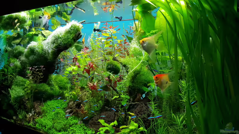 Seitenansicht 28.02.2016 von Sebastian Hartmann (28)