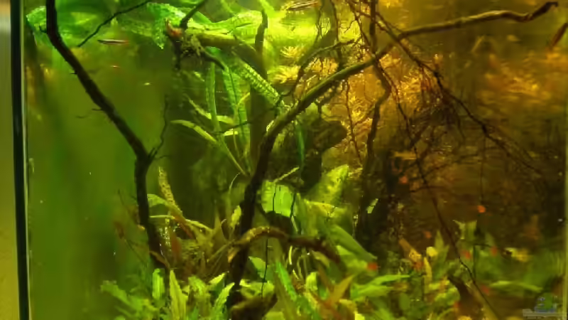 seitenansicht 5.10.2008 von hp (2)