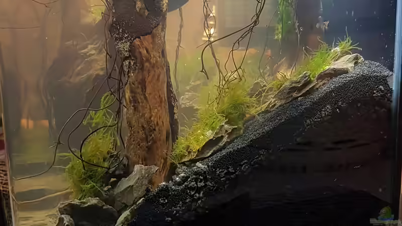 Seitenansicht am ersten Tag  von Erik H. (9)