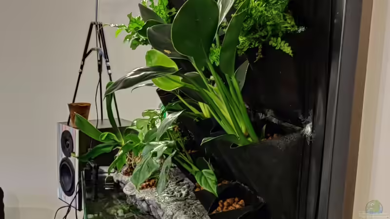 Seitenansicht Aufbau von xpate (8)