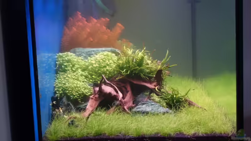 Seitenansicht des Becken am 21.03.2013  von flaschenbauer (16)