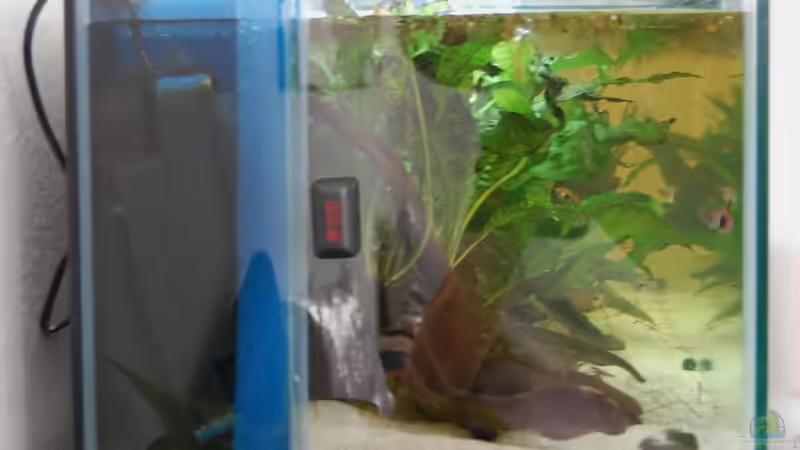 Seitenansicht des HMF von Berlin42 (48)