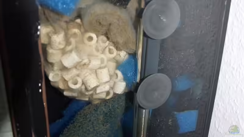 Seitenansicht des HMF von Branjo (17)