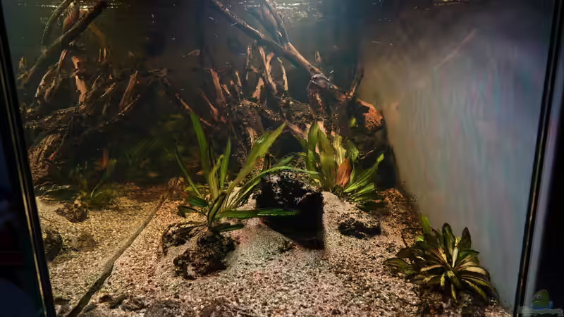 Seitenansicht Dezember 2023 (1.5 Jahre) von Philip (13)