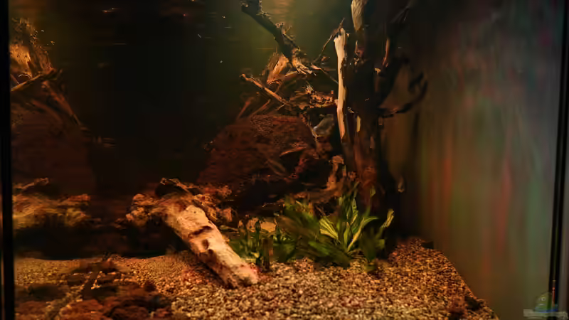 Seitenansicht Februar 2025 von Philip (20)