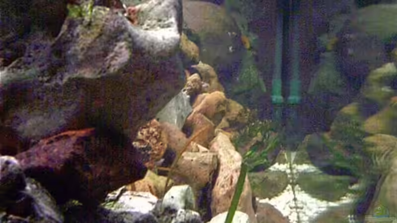 Seitenansicht hinten von Markus Parthe (5)