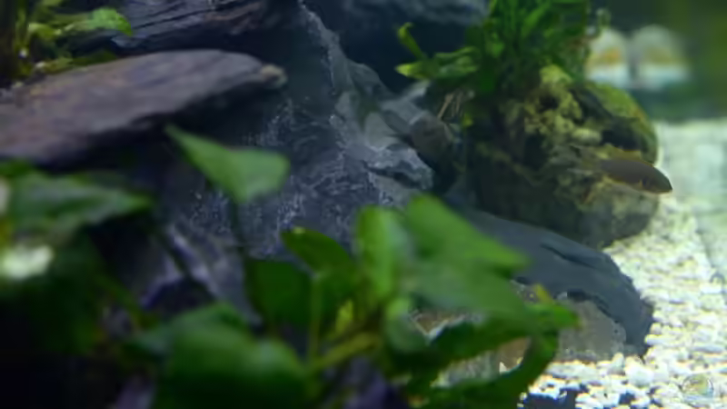 Seitenansicht ins Becken, links die selbstgebaute Rückwand! von Jan Reiners (2)