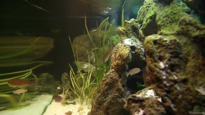 Seitenansicht ins Becken von MaWin (3)