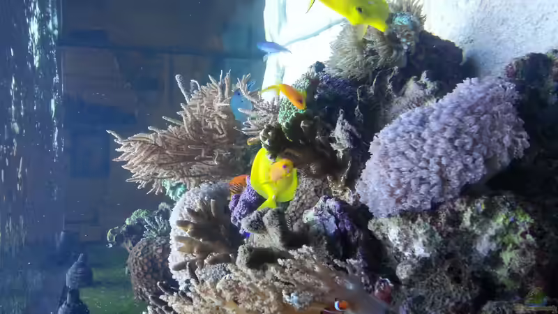 Seitenansicht links ! von urbi (41)