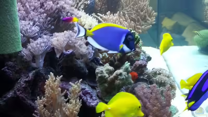 Seitenansicht Links Stand 11 Monate von urbi (23)