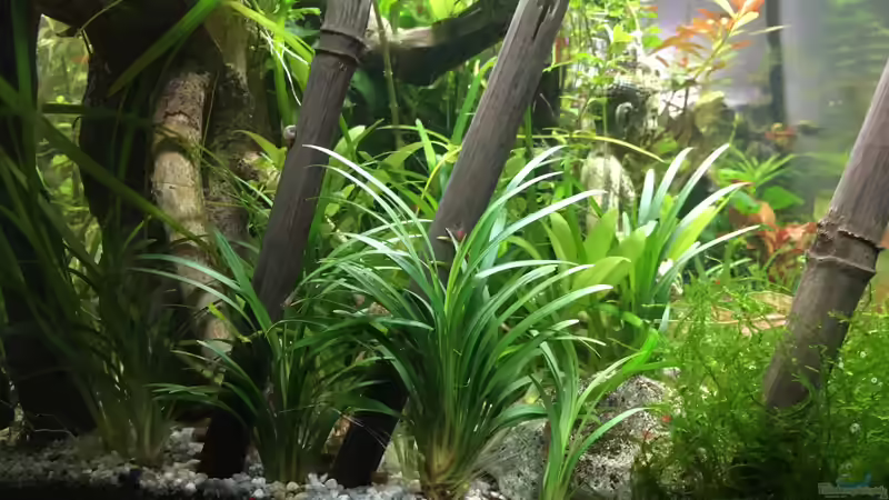 Seitenansicht links von Christian Bernreiter (9)