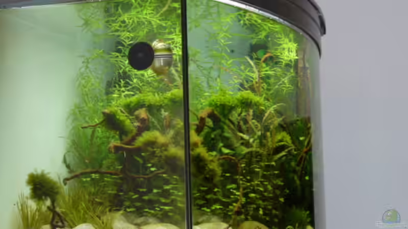 Seitenansicht links von Martin W. (9)