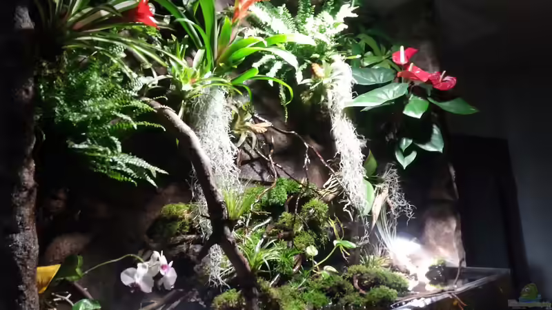 Seitenansicht links von Sebastian Müller (23)