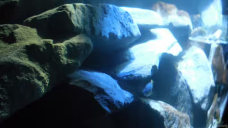 Seitenansicht Links von Vision (7)