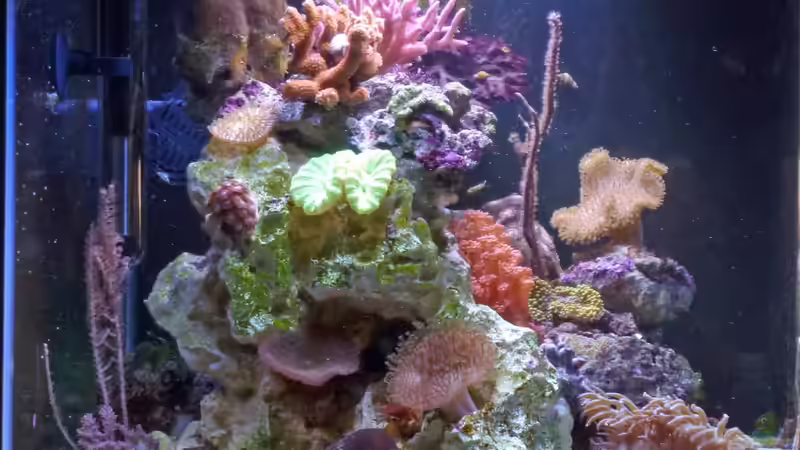 Seitenansicht März 2015 von Summse (5)