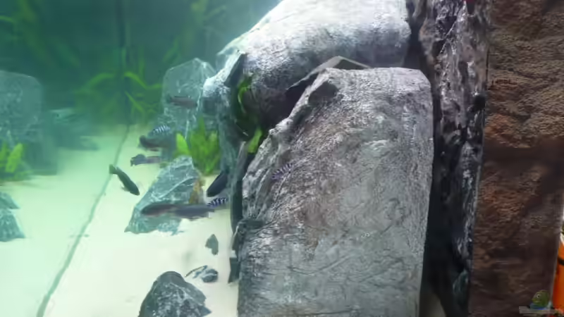 seitenansicht mit breite des Biofilters von Hedylein (3)