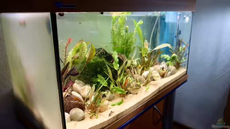 Seitenansicht mit Licht von NOWI1976 (11)