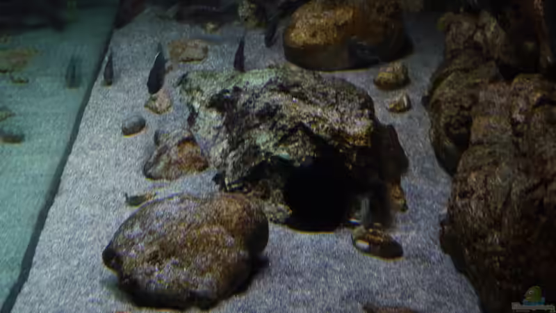 Seitenansicht mittig 02.11.2014 von DER YBBSTALER (36)