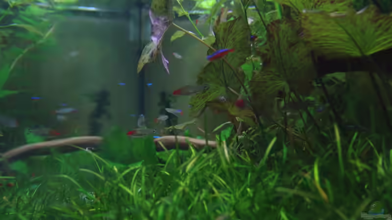 Seitenansicht nah von Stefan S. (3)