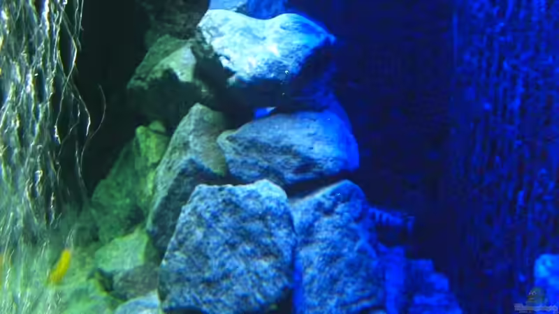 Seitenansicht rechts- mit Kaltweiß- und dunkelblauer Beleuchtung von Christopher Roß (5)