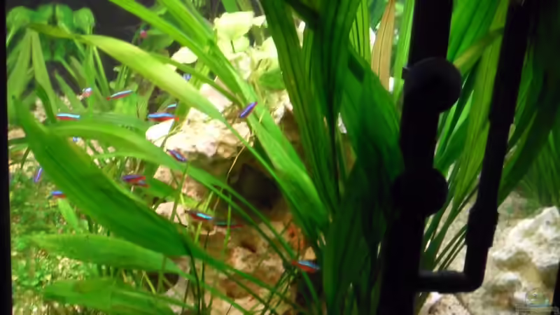 Seitenansicht rechts, Oberflächenabsauger von Sabrina + Michi (12)