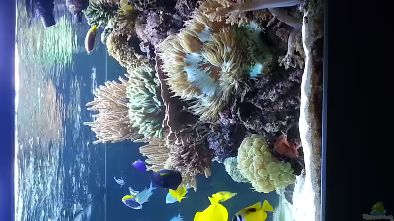 Seitenansicht rechts Standzeit 10 Monate ! von urbi (18)