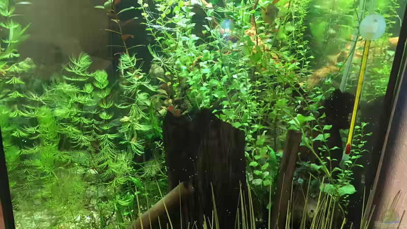 Seitenansicht rechts von Christian Bernreiter (4)