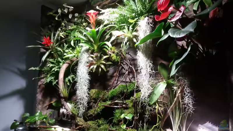 Seitenansicht rechts von Sebastian Müller (24)