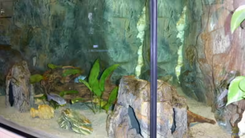 Seitenansicht rechts von Thomas Roth (4)