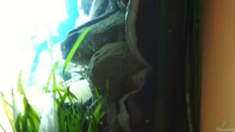 Seitenansicht Technik rechts (altes Bild) von Sunny73 (21)