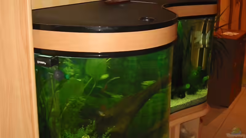 Seitenansicht Tyburski Prestige Aquarium Line von Nicolas Und Sabrina Riemann (2)