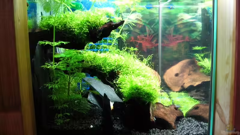 Seitenansicht vom 02.01.2008 von Heinz Sommer (3)