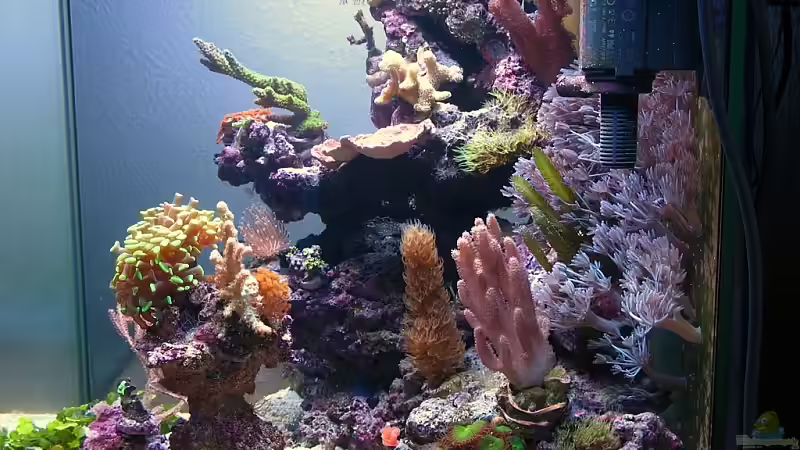 Seitenansicht vom 12.11.06 von Petra Kallmeyer (2)