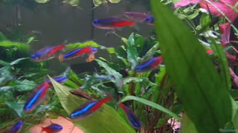 Seitenansicht von Andrea & Andreas Wielpütz (5)