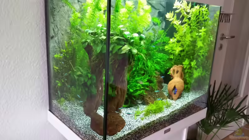 Seitenansicht von Angie777 (8)