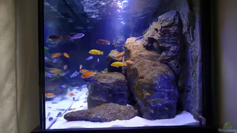 Seitenansicht von Babs (3)