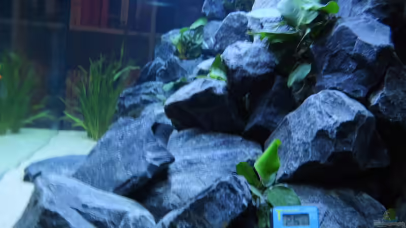 Seitenansicht von BastiB (24)