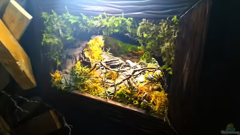 Seitenansicht von Bermuda 3eck (31)