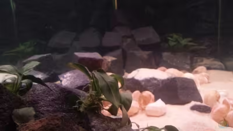 Seitenansicht von Daniel Kastner (3)