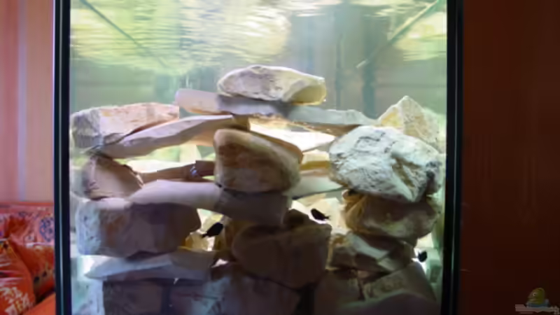 Seitenansicht von Dirk Kratochvill (4)