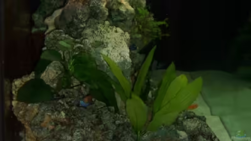 Seitenansicht von Elena Miessbrandt (2)