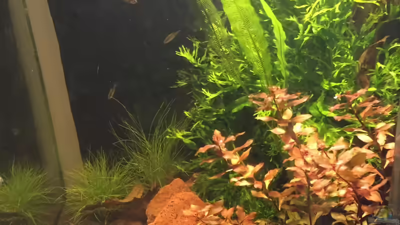 Seitenansicht von Felix Krause (2)