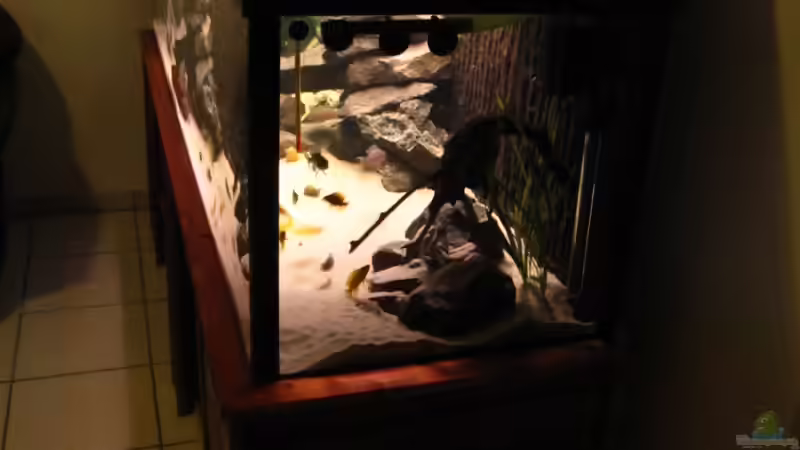 Seitenansicht von Haens84 (5)